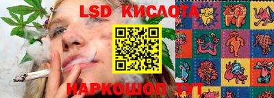 ECSTASY Камышлов