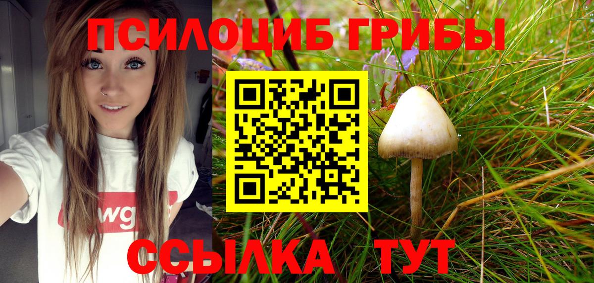 Псилоцибиновые грибы мухоморы  Галлюциногенные грибы Cubensis  Вход с VPN  Ковров 