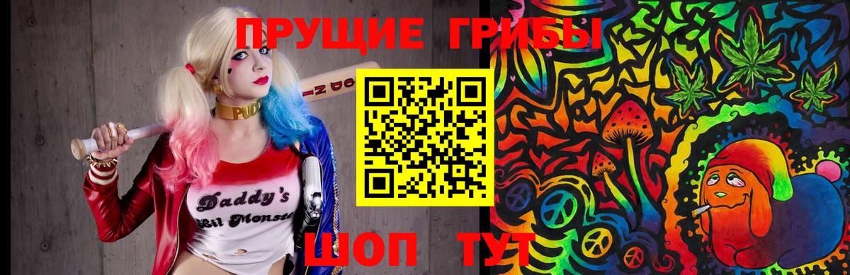 Псилоцибиновые грибы прущие грибы Ковров