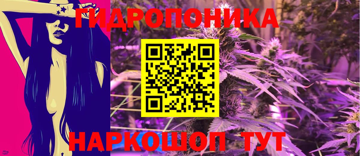Шишки марихуана сатива Ковров